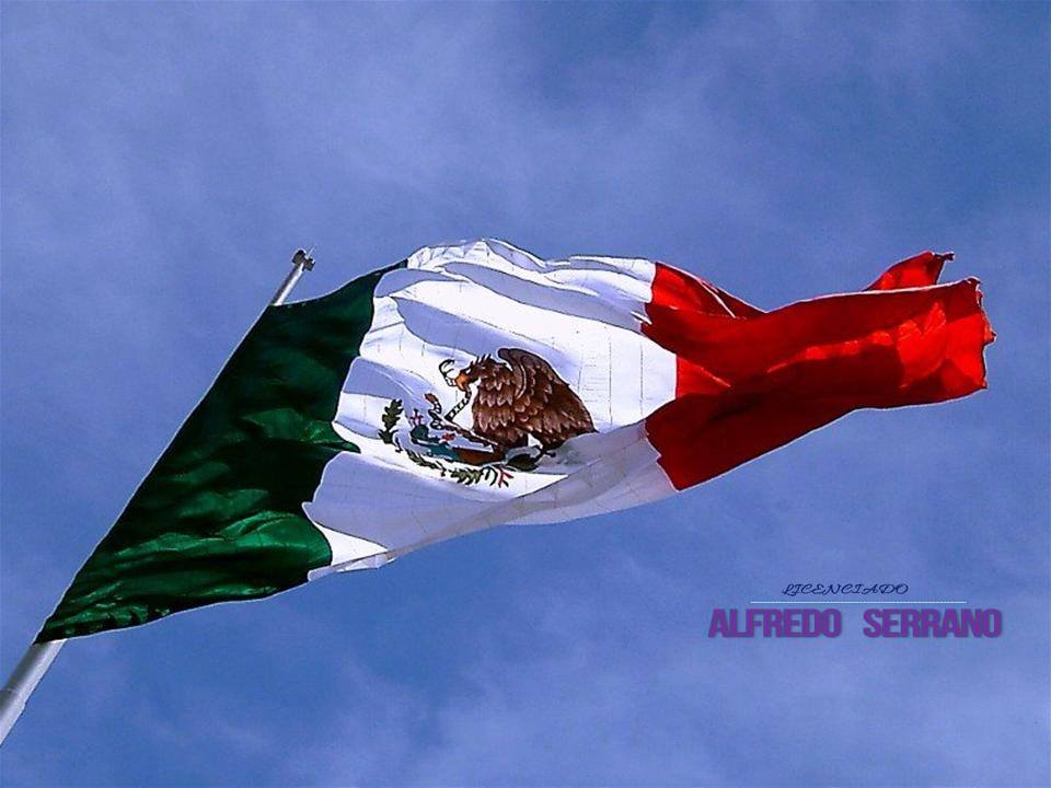 bandera escudo 1.jpg