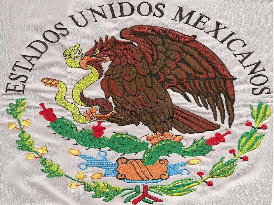 BANDERA ESCUDO 3.jpg